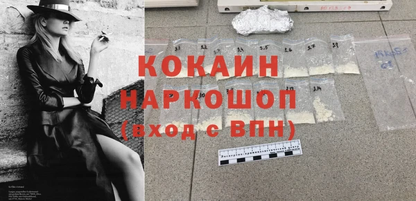 индика Зеленодольск
