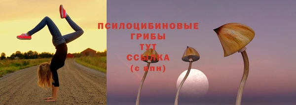 амф Заводоуковск