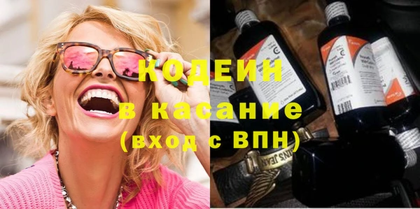 индика Зеленодольск