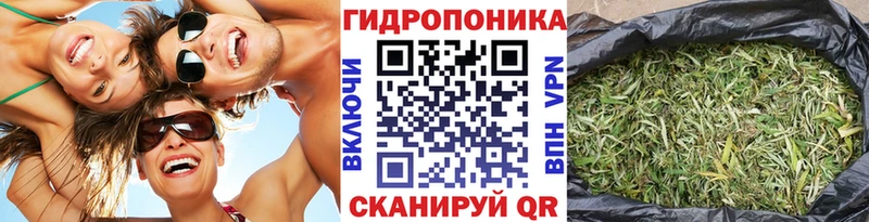 Канабис VHQ Карачев